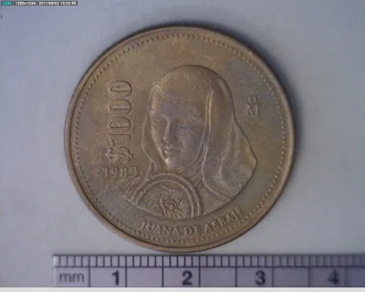 1000 Pesos Sor Juana Inés de la Cruz Bronce Aluminio 1989 (reverso)
