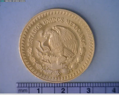 1/2 oz Libertad Oro 1983 · Inventario Banxico 16559 (anverso)