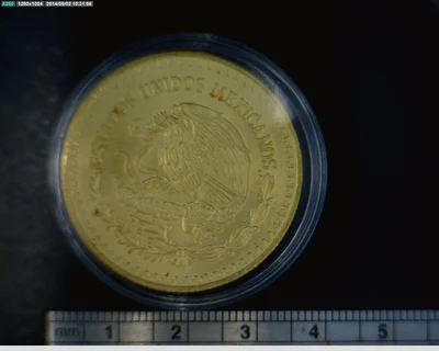 1 oz Libertad Oro 1991 · Inventario Banxico 17511 (anverso)