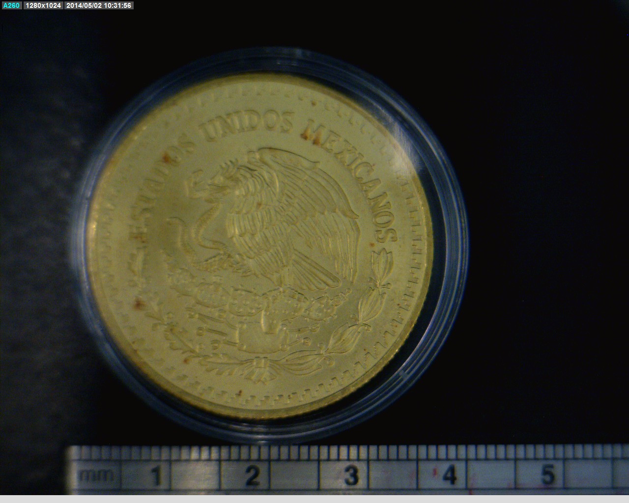 1 oz Libertad Oro 1991 · Inventario Banxico 17511 (anverso)