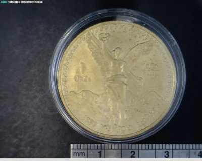 1 Onza Libertad Oro 1993