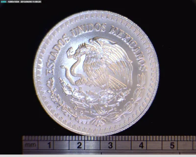 1 oz Libertad Plata 1996 · Inventario Banxico 19206 (anverso)