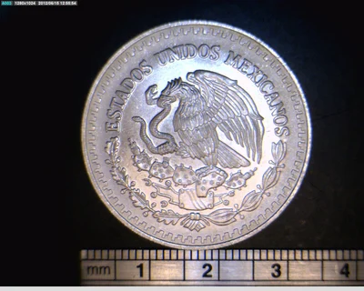 1/2 oz Libertad Plata 1996 · Inventario Banxico 19210 (anverso)