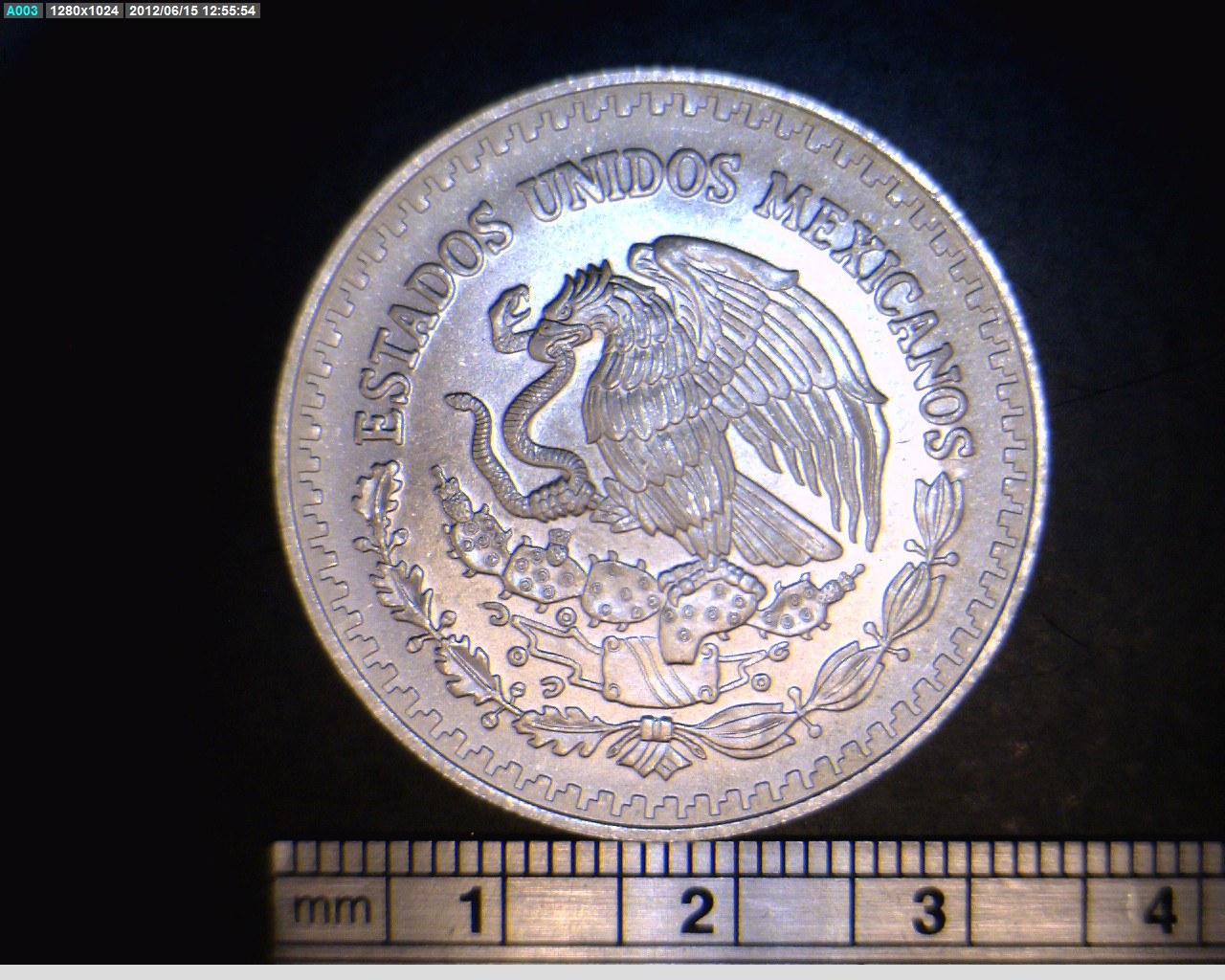 1/2 oz Libertad Plata 1996 · Inventario Banxico 19210 (anverso)