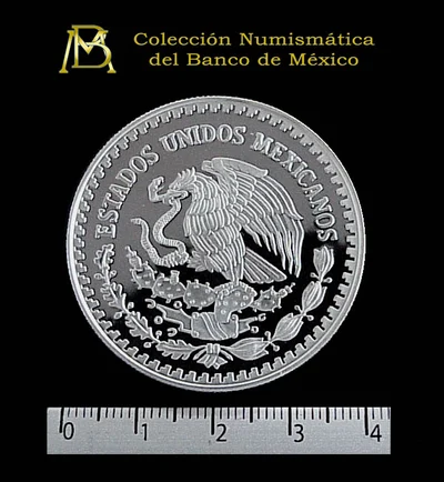 1 oz Libertad Plata 1999 · Inventario Banxico 20895 (anverso)