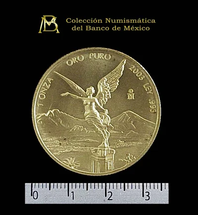 1 onza Libertad Oro 2003