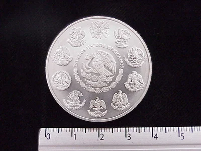 1 oz Libertad Plata 2005 · Inventario Banxico 21282 (anverso)