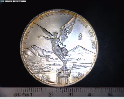 1 Onza Libertad Plata 2006
