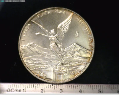 1 Onza Libertad Plata 2007