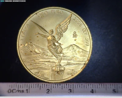 1 onza Libertad Oro 2006