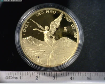 1 onza Libertad Oro 2007