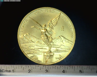 1 onza Libertad Oro 2009