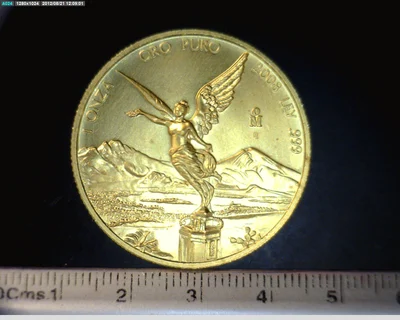 1 onza Libertad Oro 2008