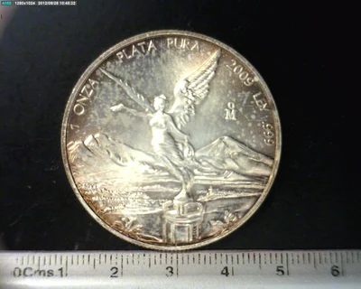 1 Onza Libertad Plata 2009
