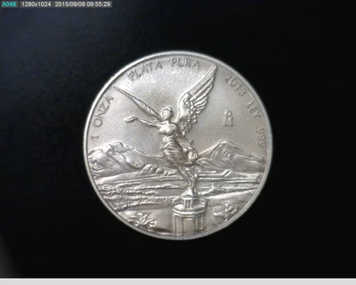 1 Onza Libertad Plata 2013