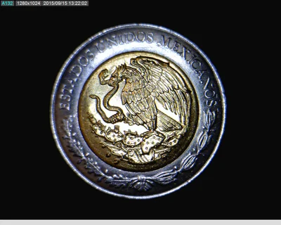 5 Bimetálica 2013 . Inventario Banxico 23154 (anverso)